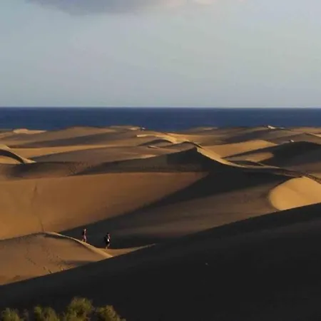 Casa Selene In Monsenor Lejlighed Playa Del Cura (Gran Canaria)
